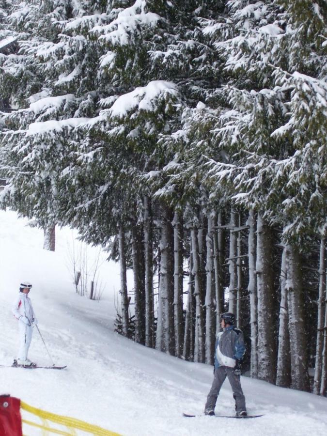 Appartement Schneerose Tauplitz Bagian luar foto